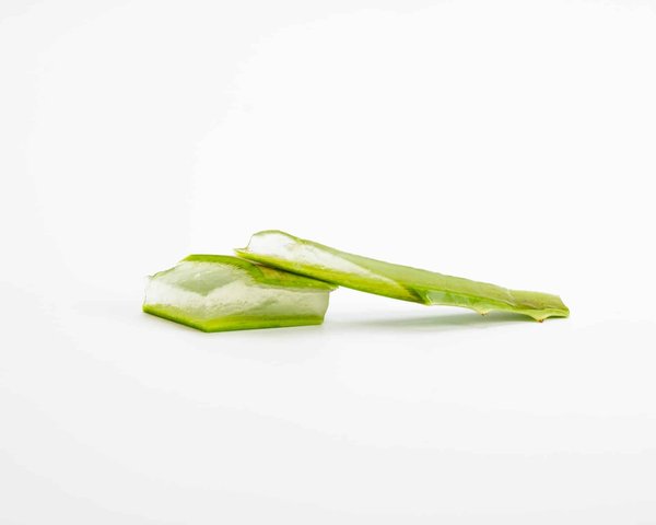 L'aloe vera : Le Secret Naturel pour une Peau Radieuse